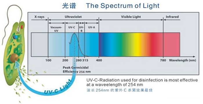 科普！紫外線殺菌燈對(duì)人體影響及正確使用方法